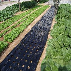 Мyльчиpyющaя плeнкa Sera 25 Black (1x2000м) Thumb