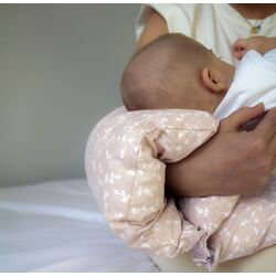 Подушка для кормления BabyJem Art-737 (Somon) Thumb