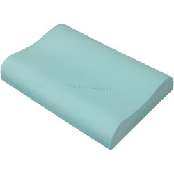 Perna Materasso Paris Viscogreen 60x43cm (Green)