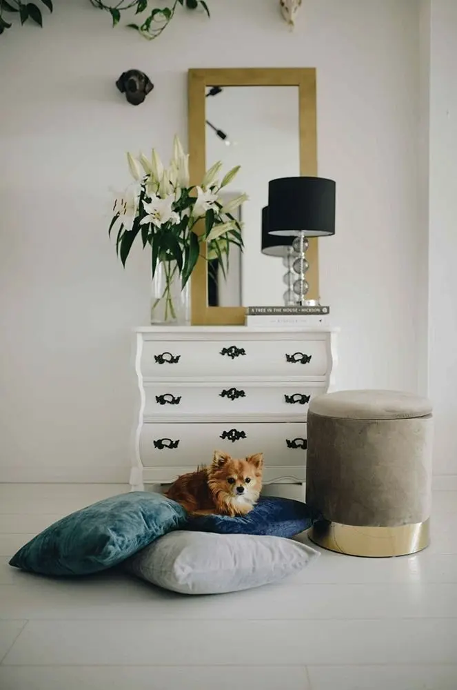 Perna Mobhaus Alita Typ 5 45x45 (Petrol) - 9