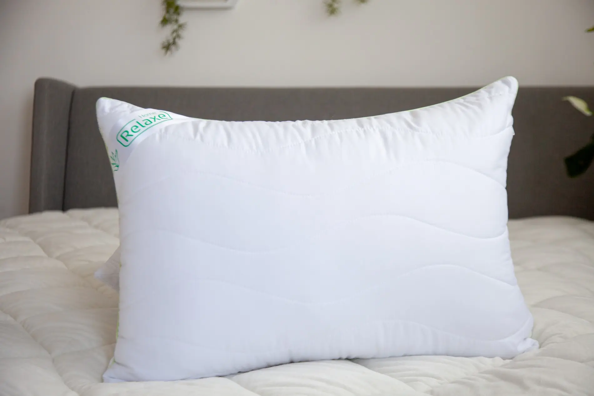 Perna Relaxe Home Aloe Vera 50x70cm (White) - 2