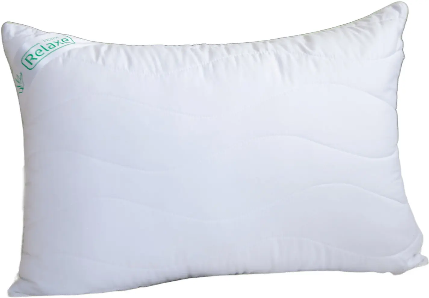 Perna Relaxe Home Aloe Vera 50x70cm (White)