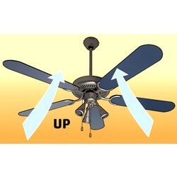 Lustra cu ventilator Home CF 1300 L (Silver/Blue) Thumb