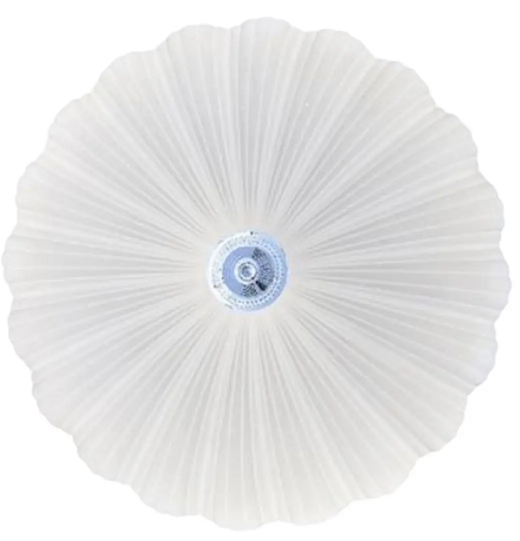 Потолочный светильник Horoz Electric Eternal-36 (White)