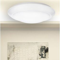 Потолочный светильник Philips Cinnabar 22W 4000K (White) Thumb