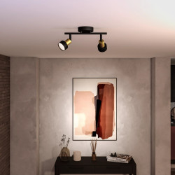 Plafoniera Philips Conduit Spotlight 2x (Black) Thumb