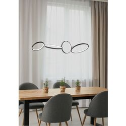 Подвесной светильник Trio Rondo (Black Matte) Thumb