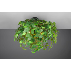 Потолочный светильник Trio Leavy R60463015 (Green) Thumb