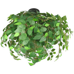 Потолочный светильник Trio Leavy R60463015 (Green)