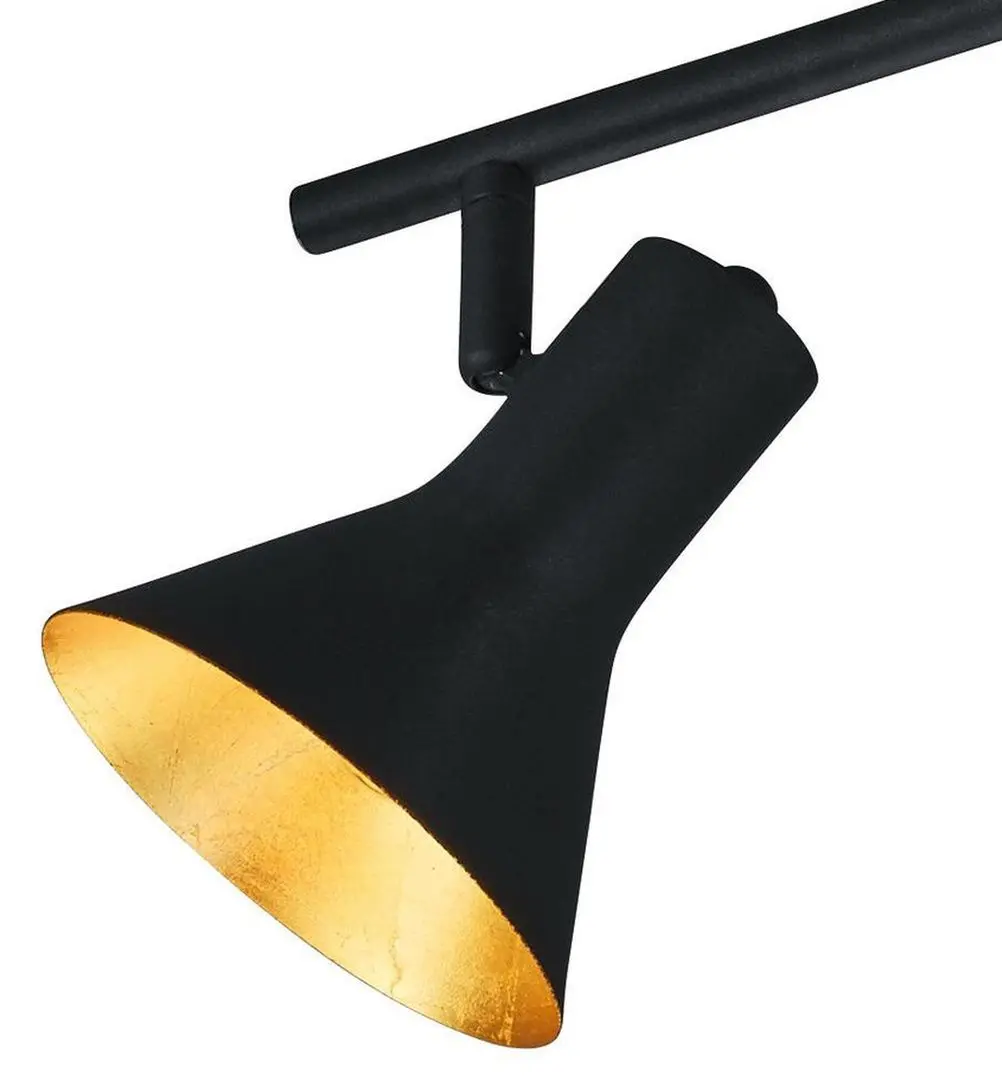 Потолочный светильник Trio Nina 2xE14 (Black)