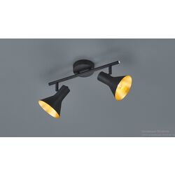 Потолочный светильник Trio Nina 2xE14 (Black) Thumb