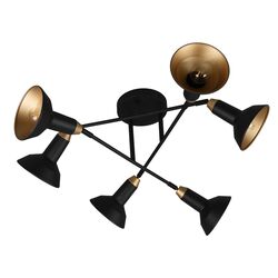 Потолочный светильник Trio Roxie 611900632 (Black)