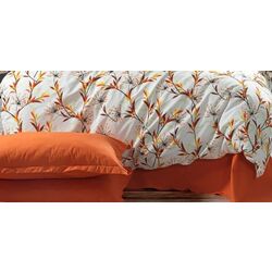 Постельное белье Cottony Nicoleta Euro (Orange/Orange) Thumb