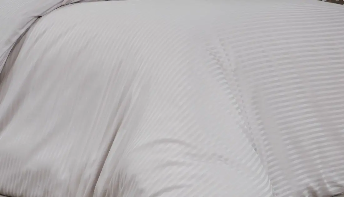 Постельное белье Cottony Stripe Vizon 2P (Grey)