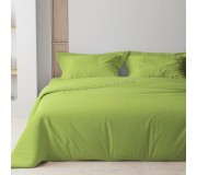 Lenjerie de pat Tep Soft Dreams 018938 Euro 2P (Muted Green)