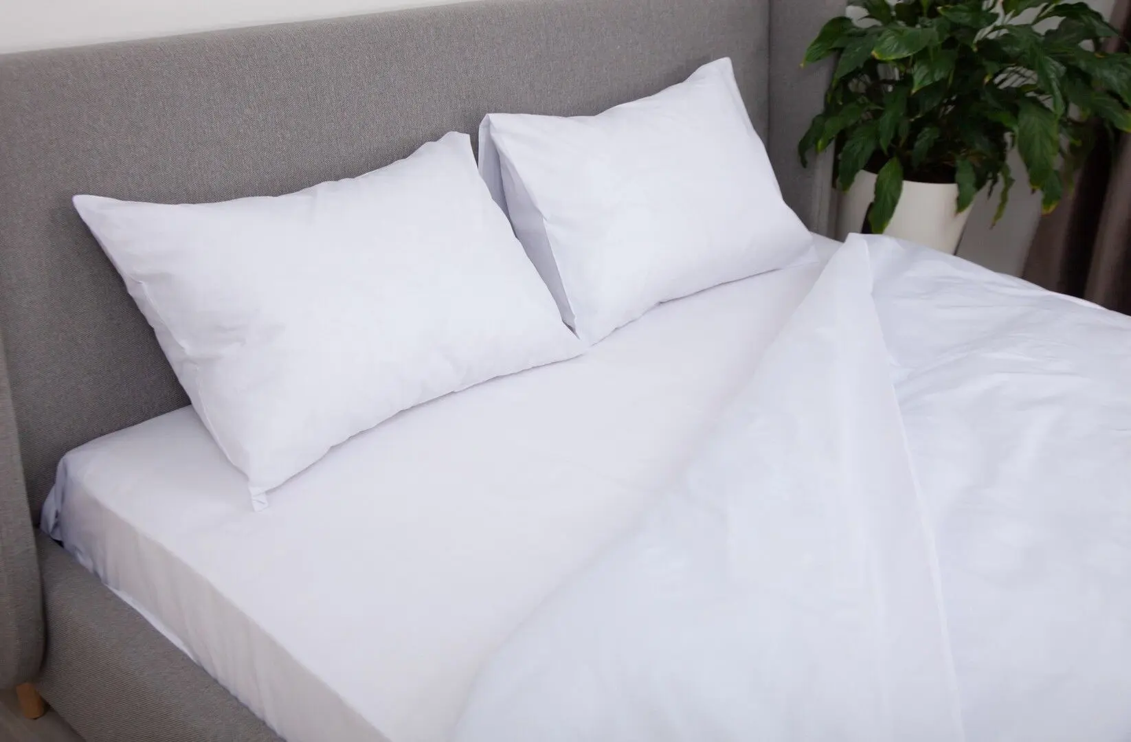 Постельное белье Tep Soft Dreams 019213 Euro 2P (Optical White) - 2