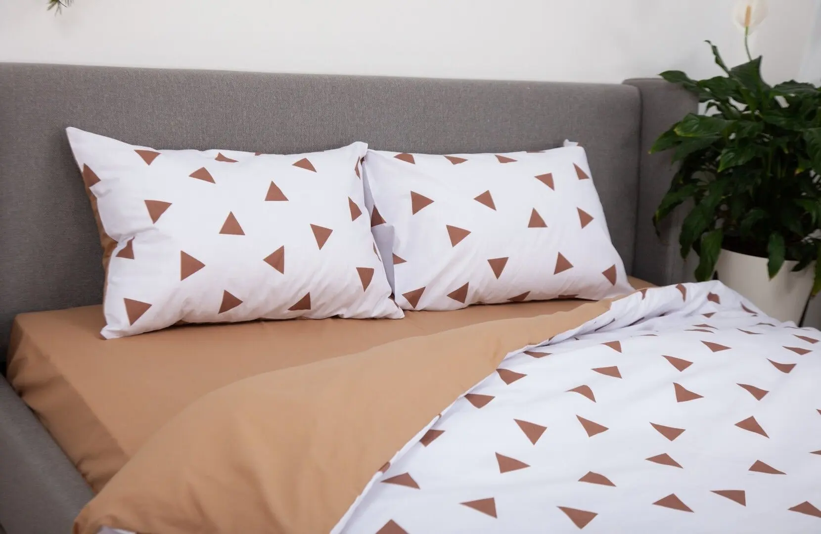 Lenjerie de pat Tep Soft Dreams 019321 Euro 2P (Triang Cappuccino) - 5