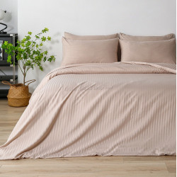 Постельное белье Tep Stripe Dreams 18304 Euro 2P (Powder)