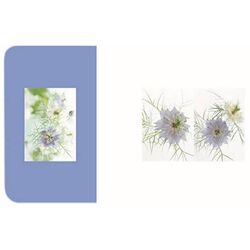 Набор сервировочных салфеток Maestro Mr-1950