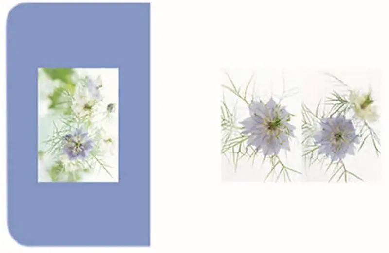 Набор сервировочных салфеток Maestro Mr-1950