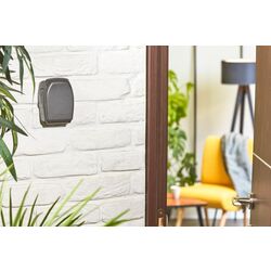 Safeu Masterlock 5415EUDRD (Grey) Thumb