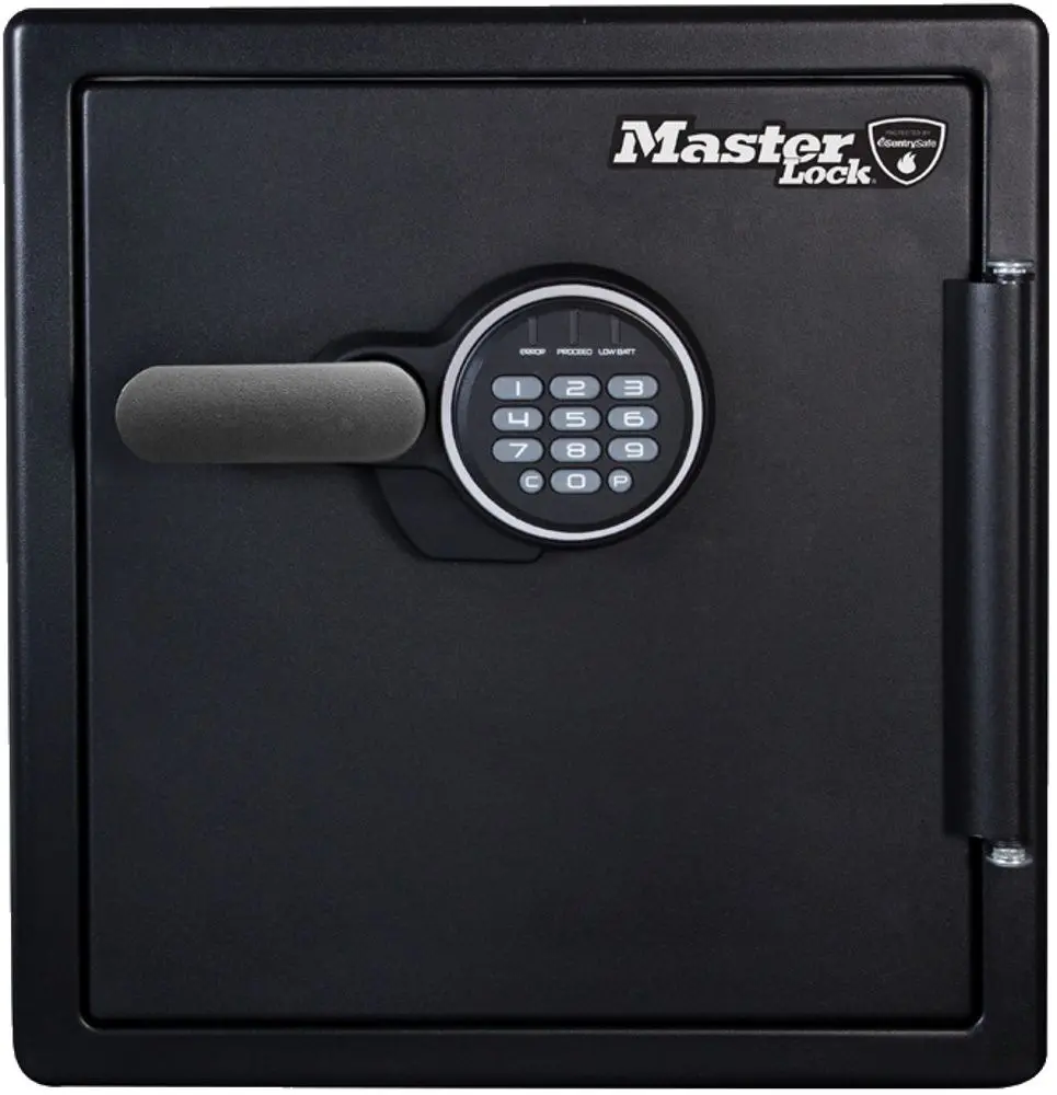 Seif MasterLock LFW123FTC (Black)