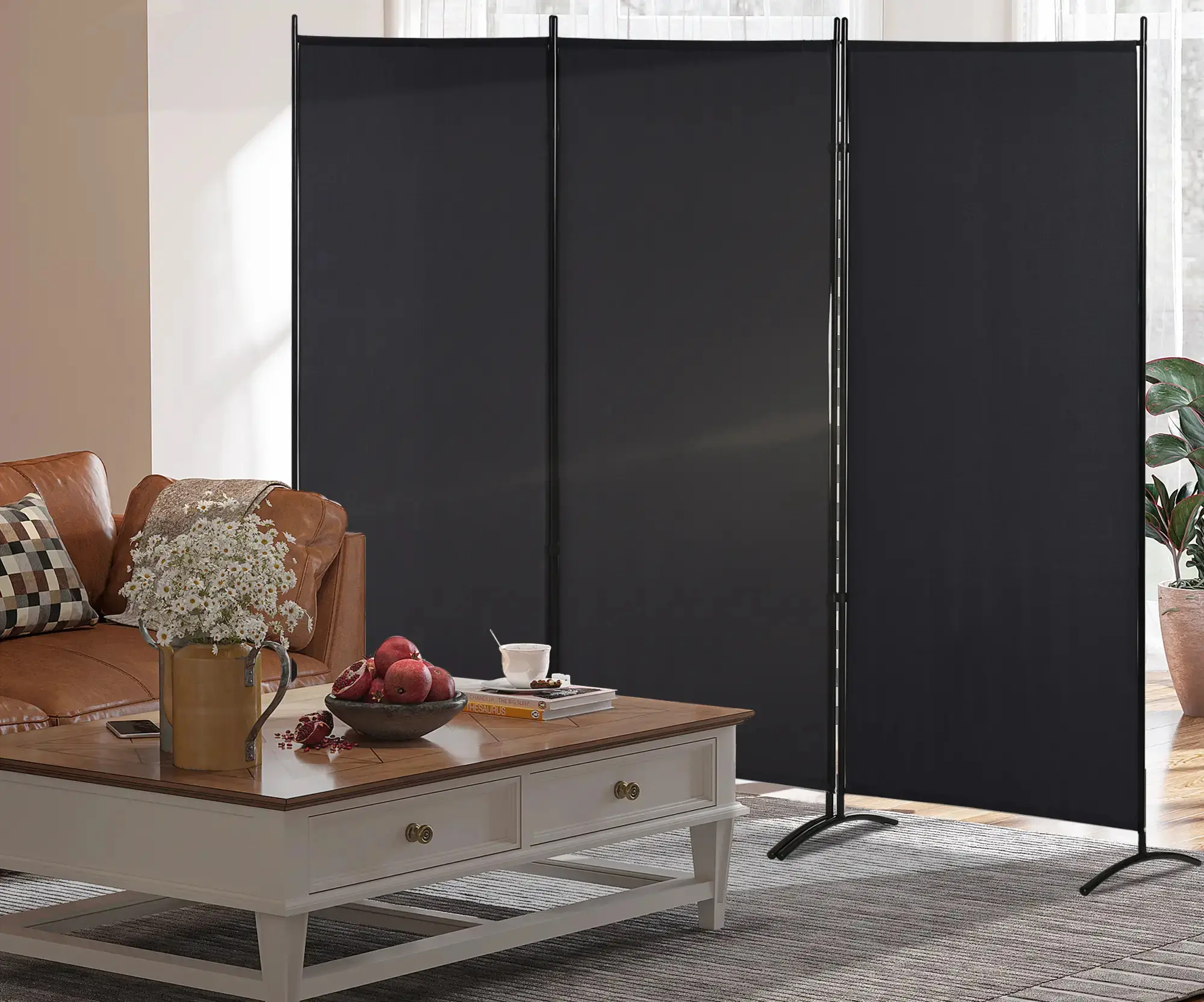 Paravan de camera Homcom 830-306V01BK (Black) - 6