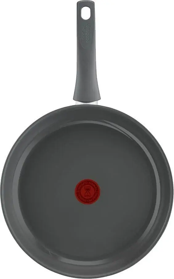 Tigae Tefal Renewal C4260643 (Grey)
