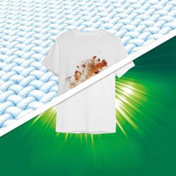 Praf de spalat Persil Professional Powder Rose 10kg Thumb