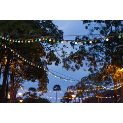 Светодиодная гирлянда Forever Light RTV100001 (Black) Thumb