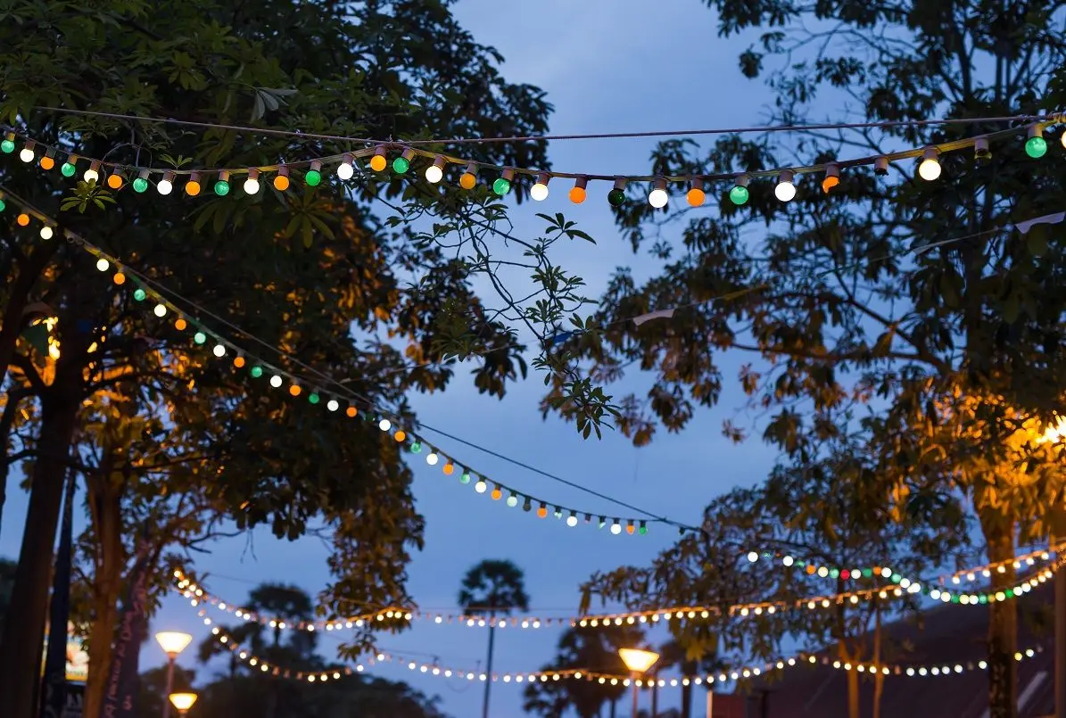 Светодиодная гирлянда Forever Light RTV100001 (Black)