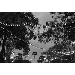 Ghirlanda LED Forever Light RTV100003 (Black) Thumb