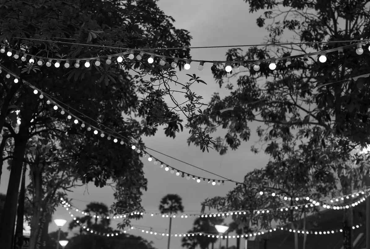 Ghirlanda LED Forever Light RTV100003 (Black)