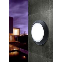Lampa cu senzor de miscare Fumagalli Berta E27 (Black/Opal) Thumb