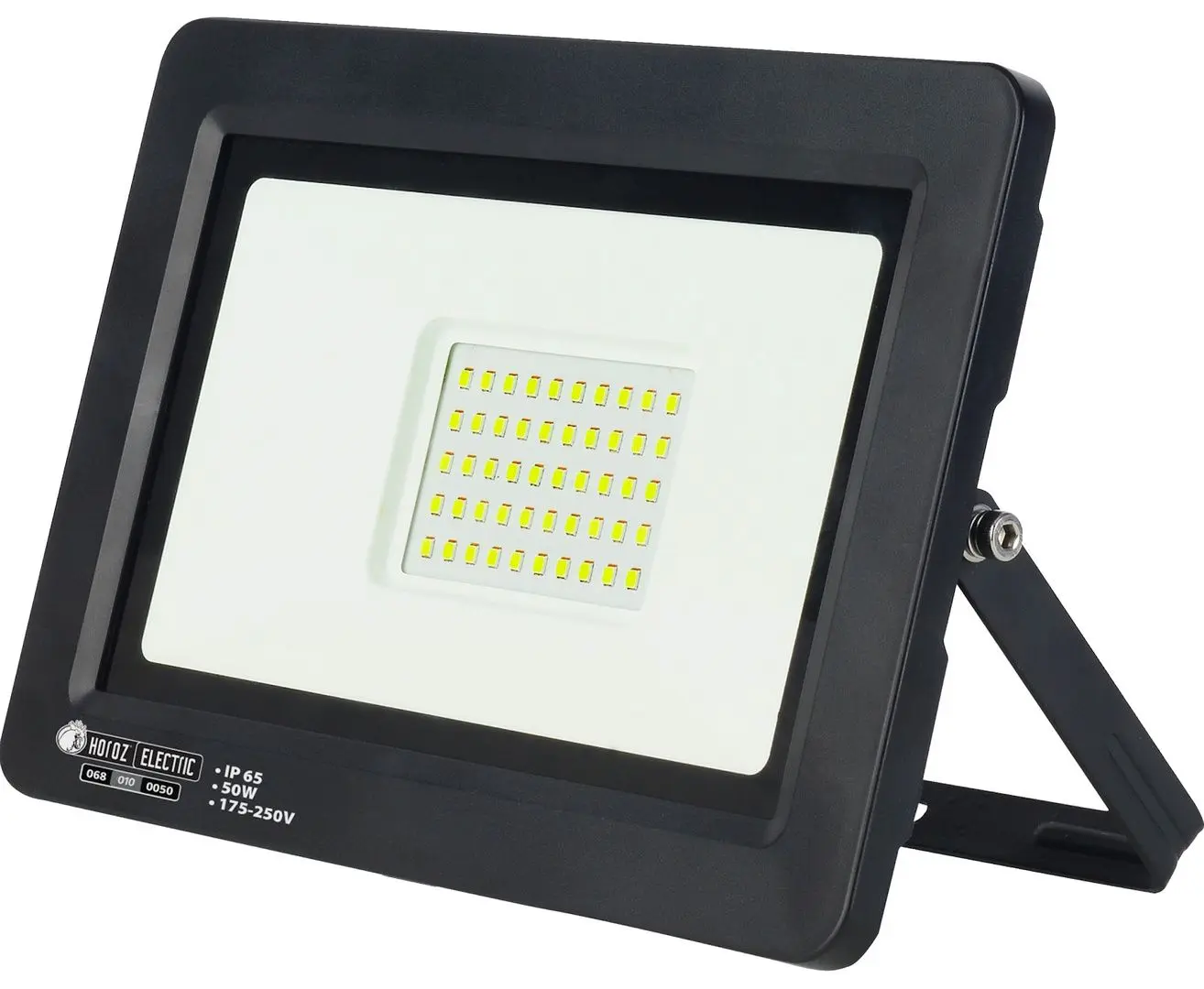 Светодиодный прожектор Horoz Electric Aslan-50 (Black)