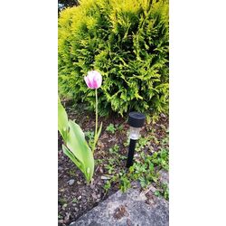 Солнечная лампа Saska Garden SP-6001S (Black) Thumb
