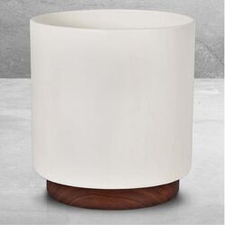 Vaza Blumfeldt Enspijk 10038462 (White) Thumb