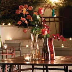 Ваза Bormioli Rocco Ypsilon 16.5x6.7сm (Transparent) Thumb