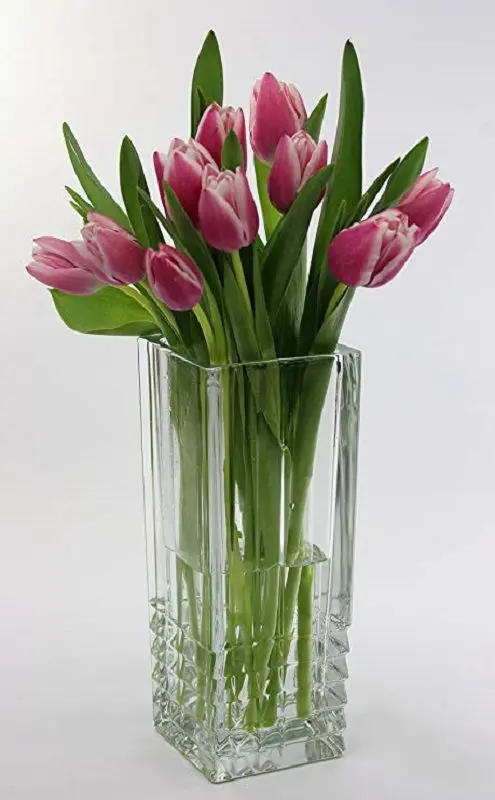 Ваза Bormioli Rocco Duemila 23cm (Transparent)