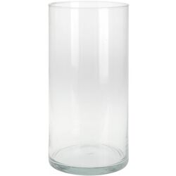 Vaza Excellent Houseware Cylinder 15cm (Transparent)