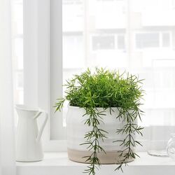 Vaza Ikea Fallenhet 17cm (Alb/Bej) Thumb