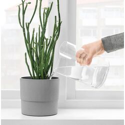 Ваза-лейка Ikea Сhilifrukt 21 см (Прозрачный) Thumb