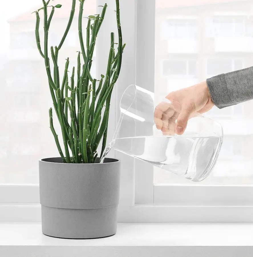 Ваза-лейка Ikea Сhilifrukt 21 см (Прозрачный) - 11