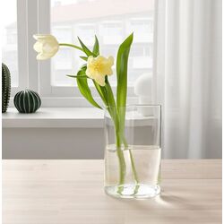 Ваза-лейка Ikea Сhilifrukt 21 см (Прозрачный) Thumb