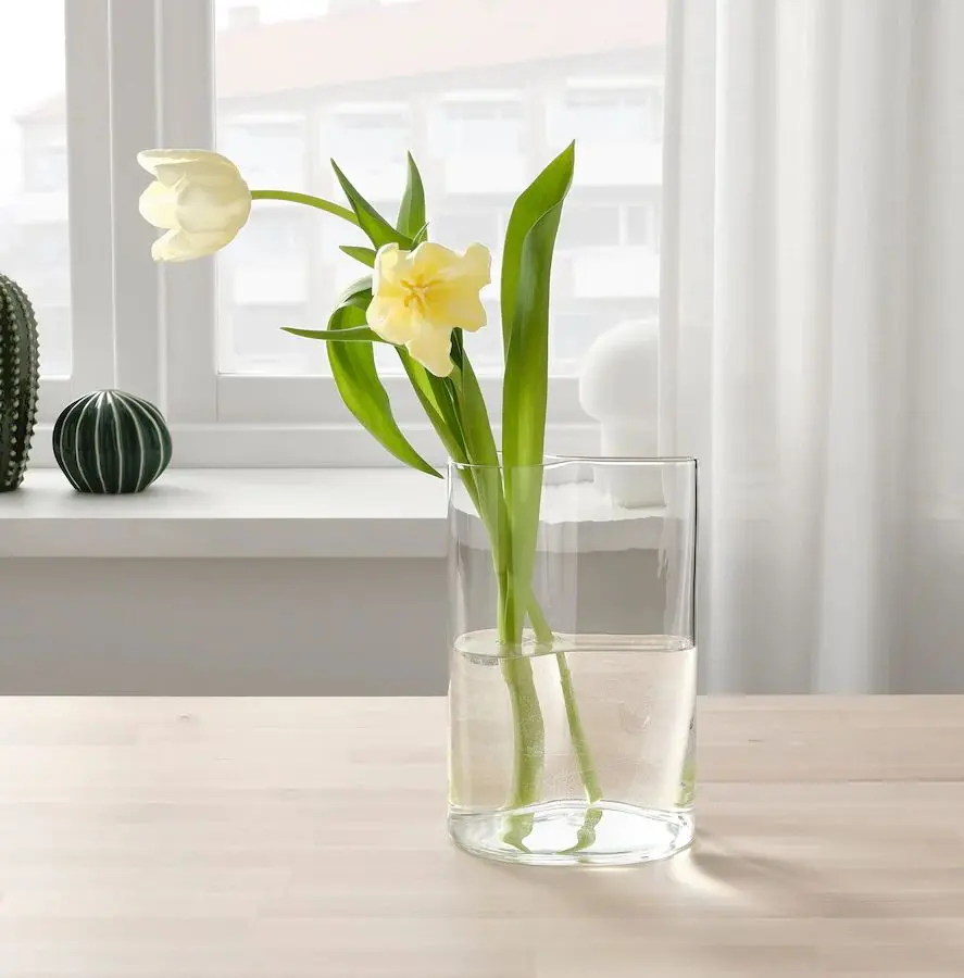 Ваза-лейка Ikea Сhilifrukt 21 см (Прозрачный) - 12