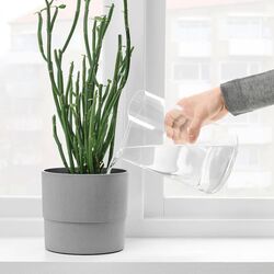 Ваза-лейка Ikea Сhilifrukt 21 см (Прозрачный) Thumb