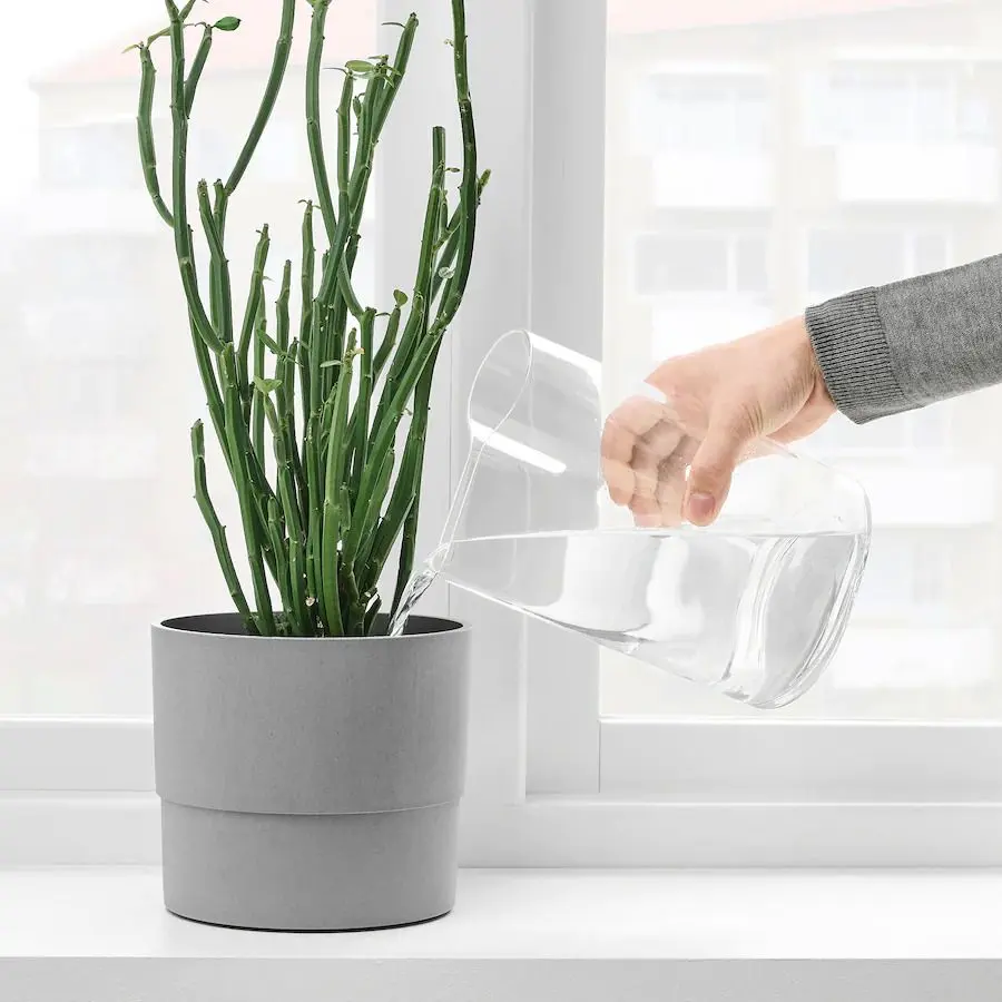 Ваза-лейка Ikea Сhilifrukt 21 см (Прозрачный) - 5