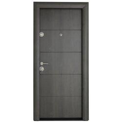 Usa de exterior Arta Door Modern 379 880mm (Grey/Light Grey)