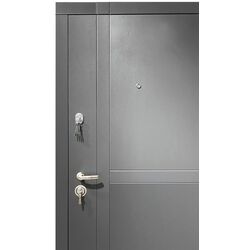 Входная дверь Spiritus Diplomat 120 Right 860мм (Антрацит/Белый) Thumb