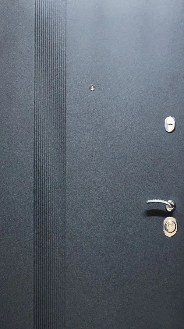 Входная дверь Spiritus Sinevir Left 960мм (Антрацит/Белый) - 2